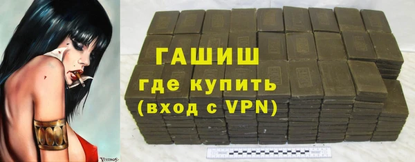 прущие грибы Гусиноозёрск