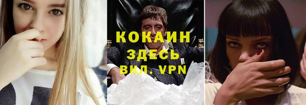 бошки Дмитриев