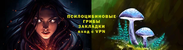 прущие крисы Горнозаводск