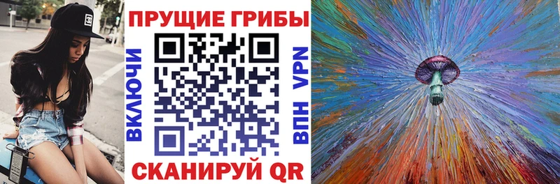 Галлюциногенные грибы MAGIC MUSHROOMS MEGA сайт Губаха